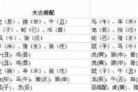 1997属相|97年属什么 97年属什么命